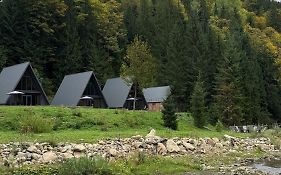 Ultra house будиночки в лісі біля гірської річки